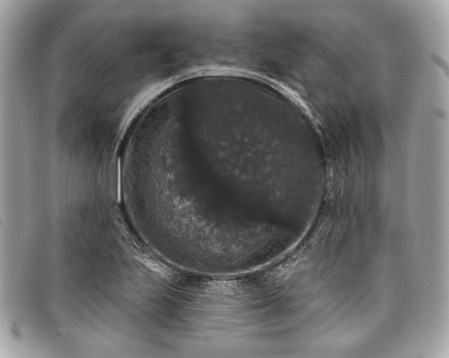 X0000098011223200804071319