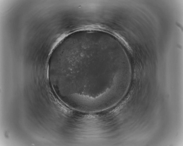 X0000098011224200804071319