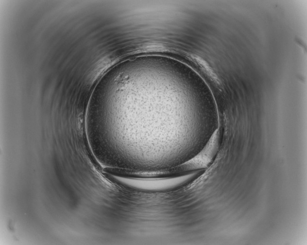 X0000098011225200804071319