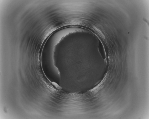 X0000098011226200804071319