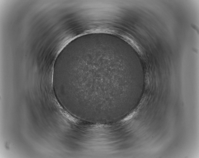 X0000098011228200804071319