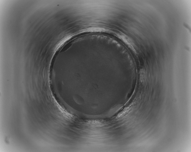 X0000098011229200804071319
