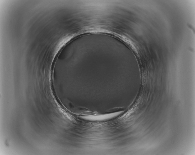 X0000098011231200804071319