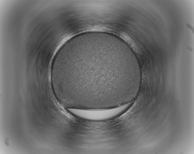 X0000098011232200804071319