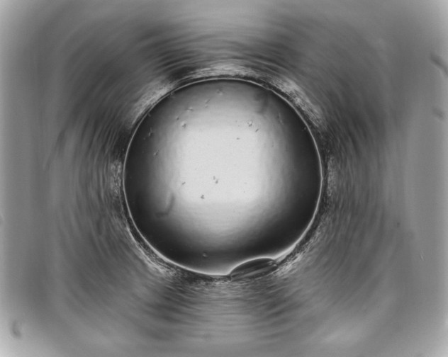 X0000098011233200804071319