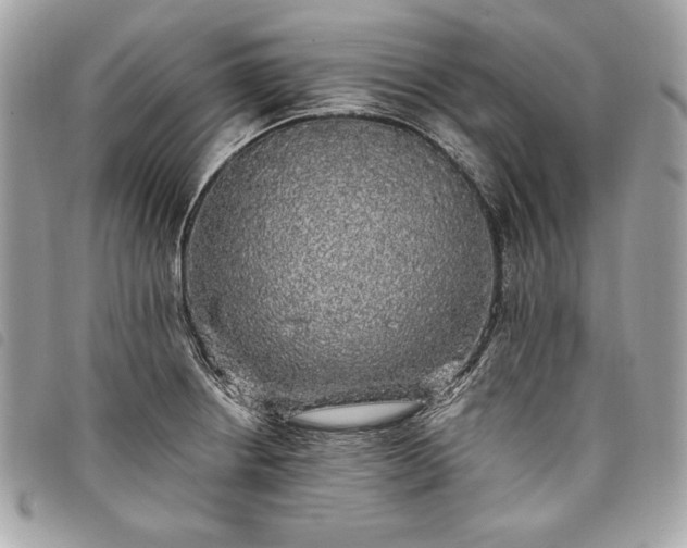 X0000098011234200804071319