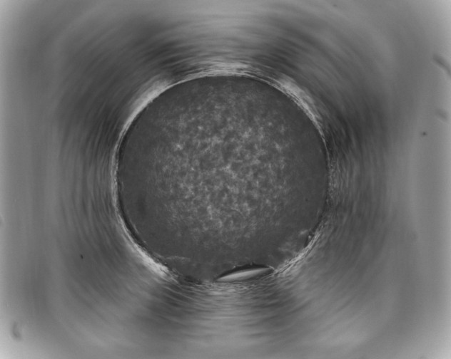 X0000098011235200804071319