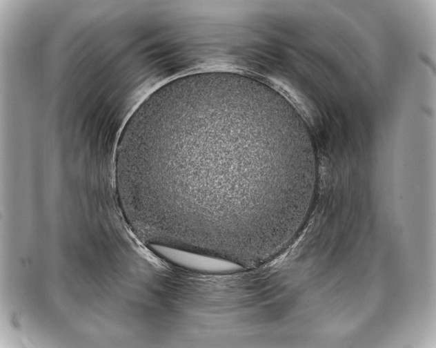 X0000098011236200804071319