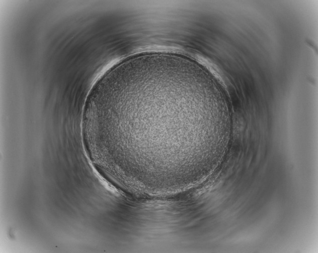 X0000098011237200804071319
