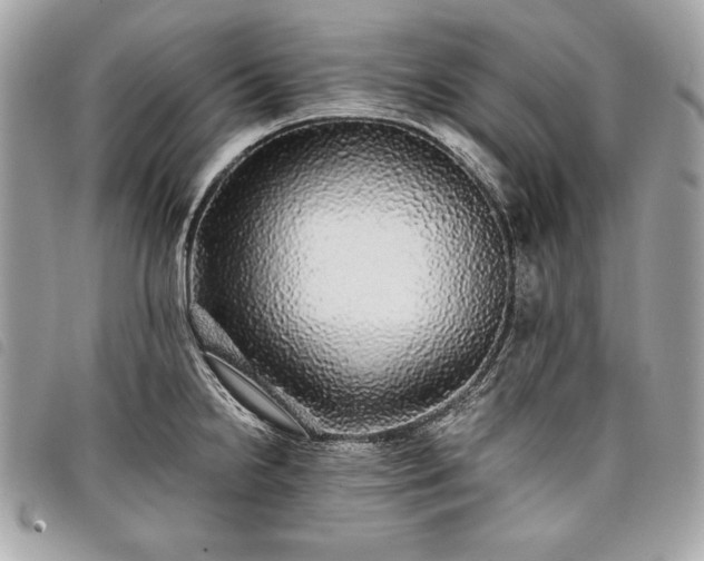 X0000098011238200804071319