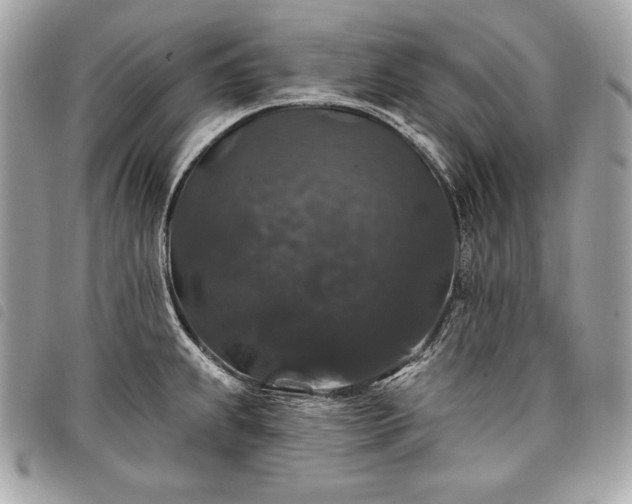 X0000098011239200804071320