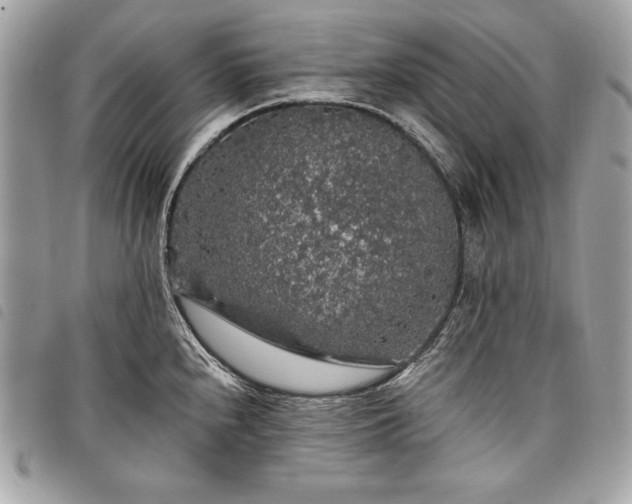 X0000098011240200804071320