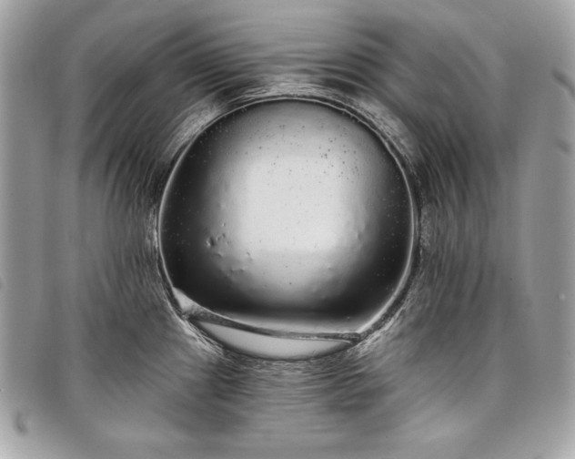 X0000098011241200804071320