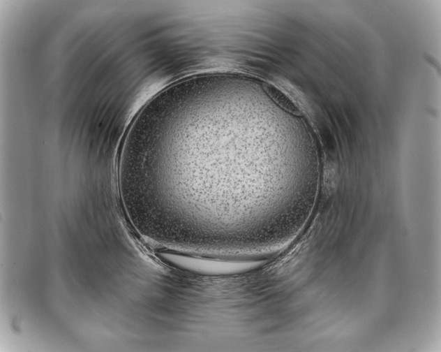 X0000098011242200804071320