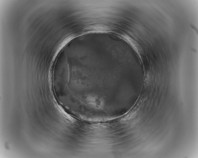 X0000098011243200804071320