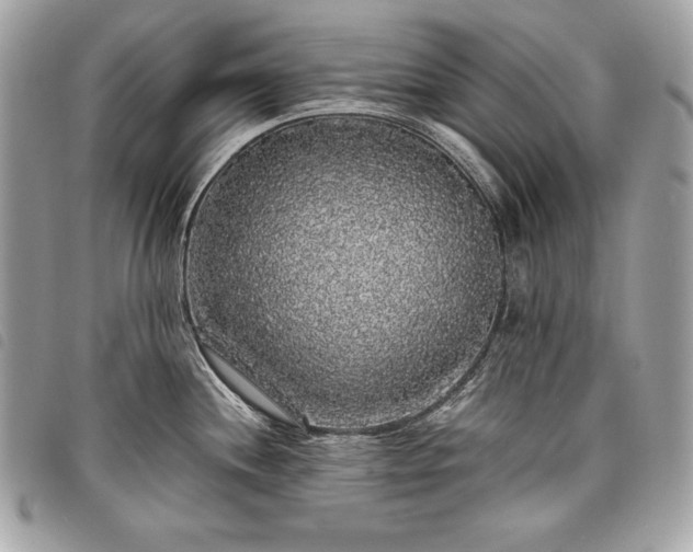 X0000098011244200804071320