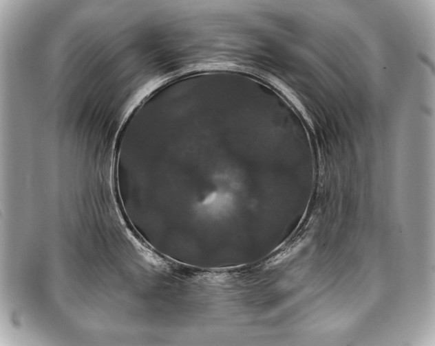X0000098011245200804071320