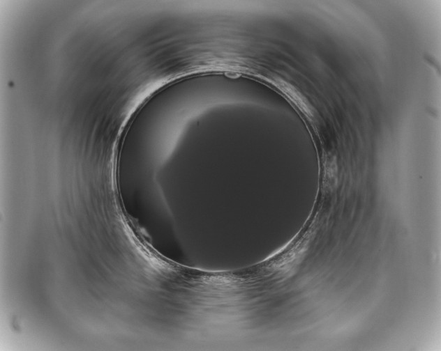 X0000098011246200804071320