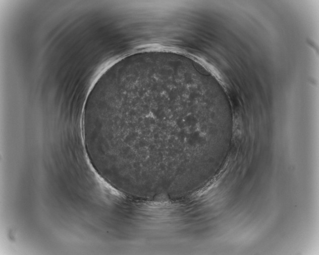 X0000098011247200804071320