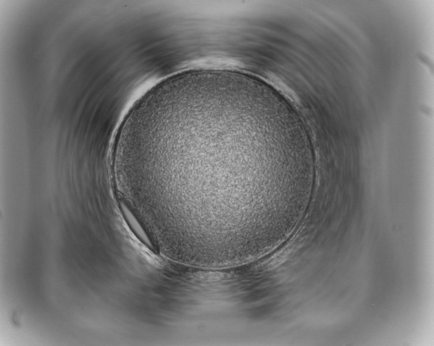 X0000098011248200804071320