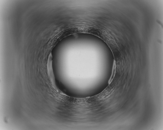 X0000098011249200804071319