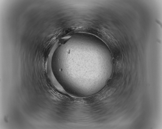 X0000098011250200804071319