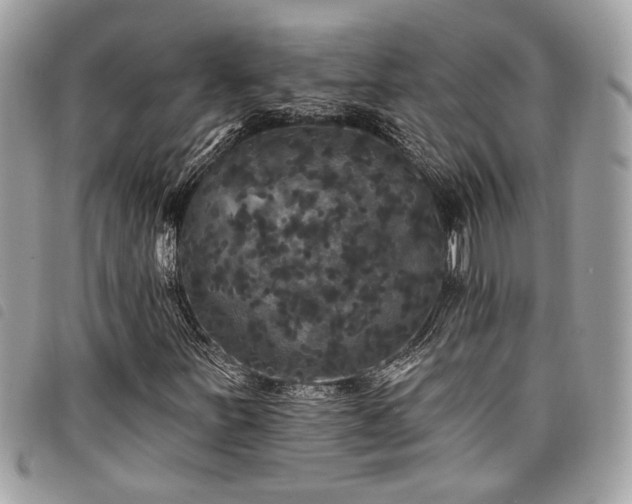X0000098011251200804071319