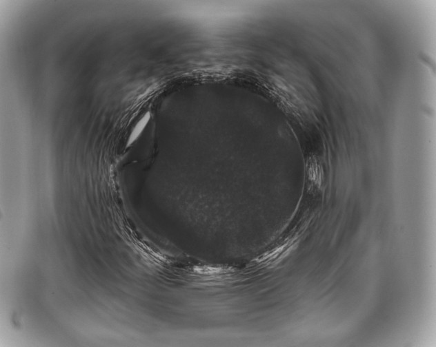 X0000098011252200804071319