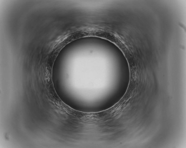 X0000098011253200804071319