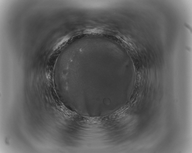 X0000098011254200804071319