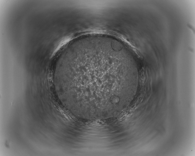 X0000098011255200804071319