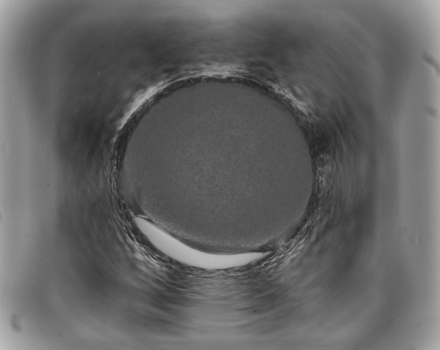 X0000098011256200804071319