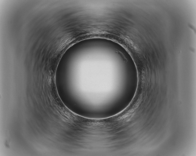 X0000098011257200804071319