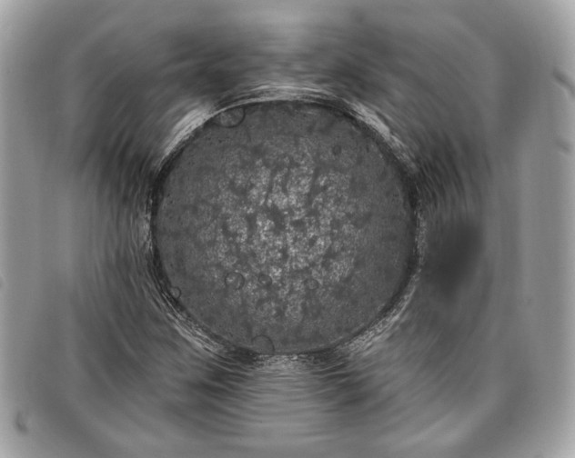 X0000098011259200804071319
