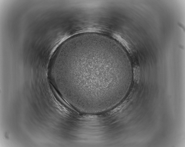 X0000098011260200804071319
