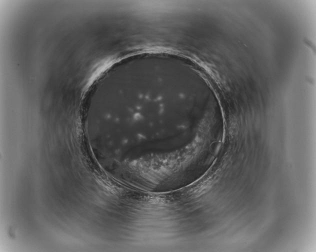 X0000098011263200804071319