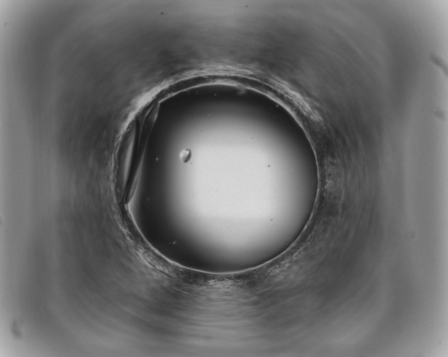 X0000098011264200804071319