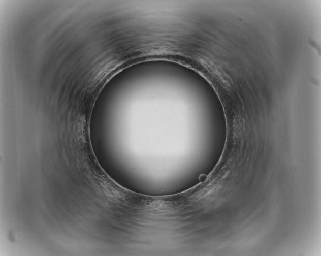 X0000098011265200804071319