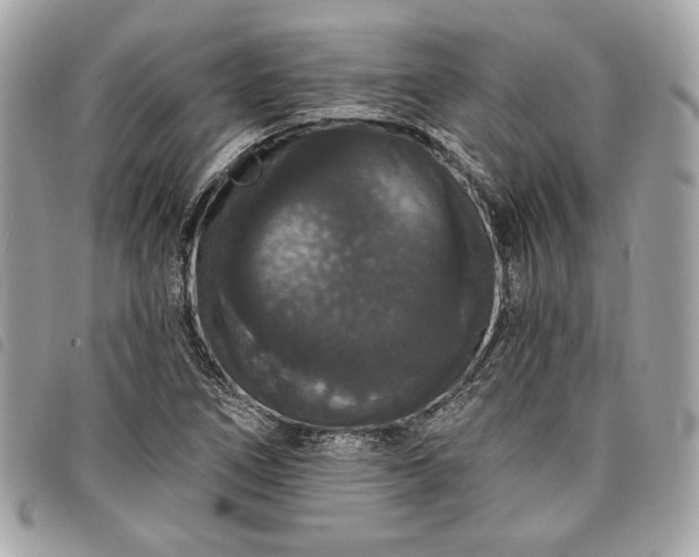 X0000098011266200804071319