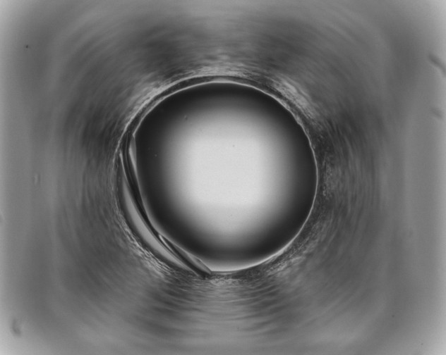 X0000098011268200804071319