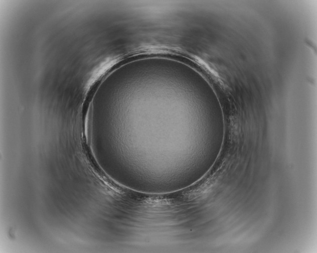X0000098011269200804071319