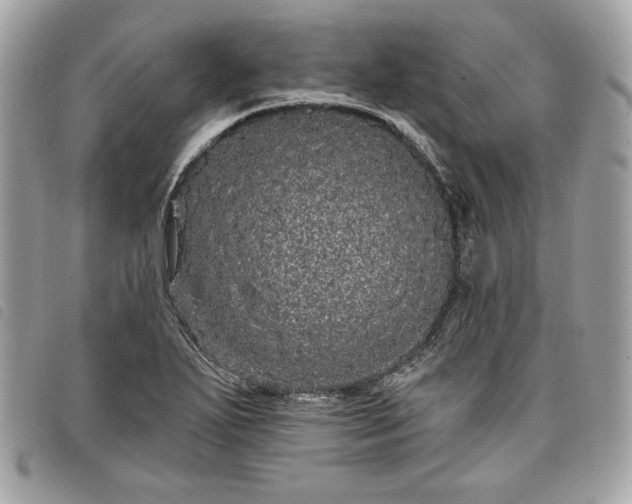 X0000098011271200804071319
