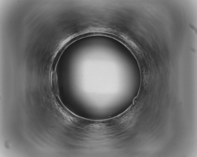 X0000098011272200804071319