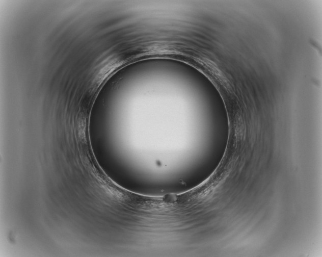 X0000098011273200804071319
