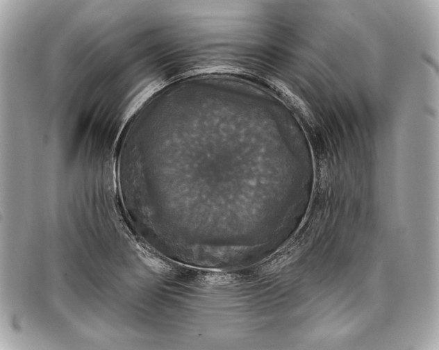 X0000098011274200804071319