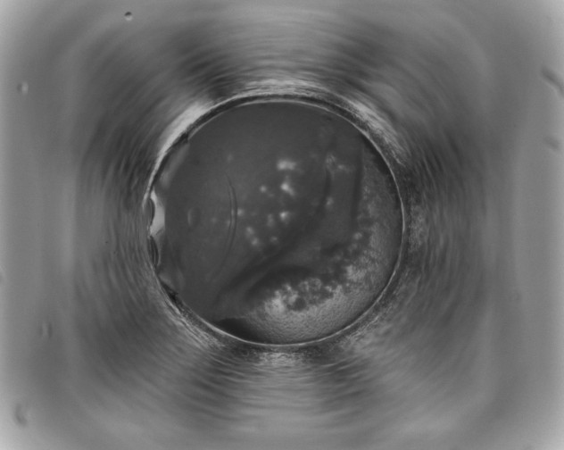 X0000098011275200804071319