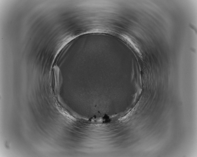 X0000098011276200804071318