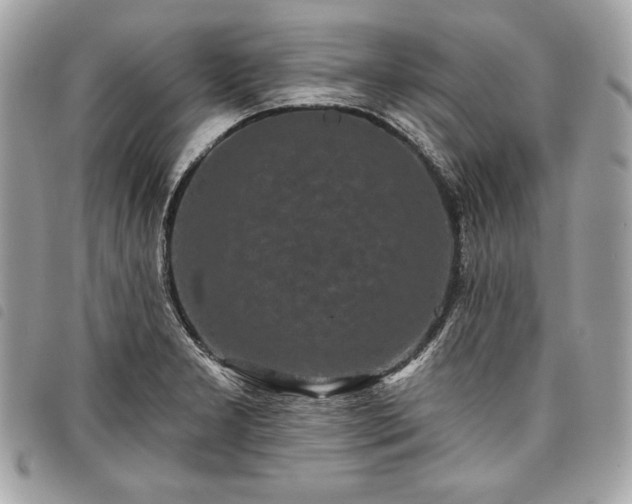 X0000098011277200804071318