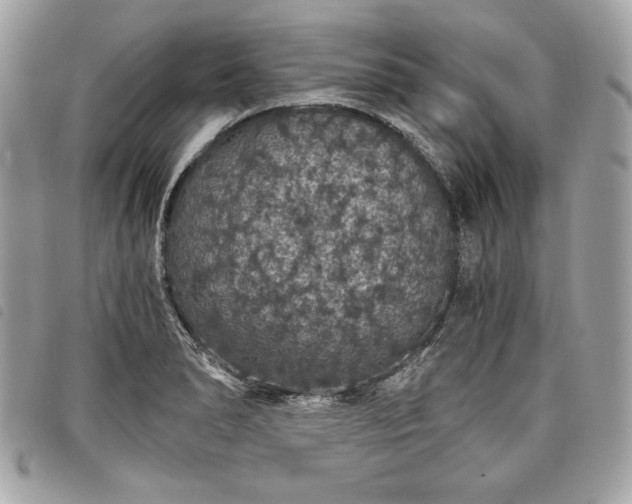 X0000098011278200804071318