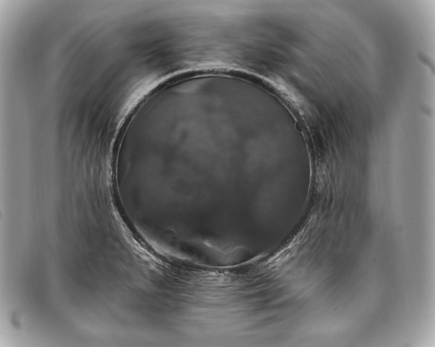 X0000098011279200804071318